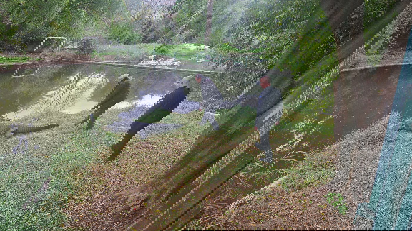 נציגי השב"ס בוחנים תנינים