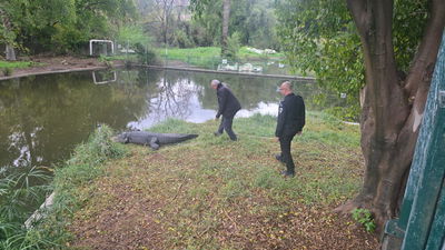 נציגי השב"ס בוחנים תנינים