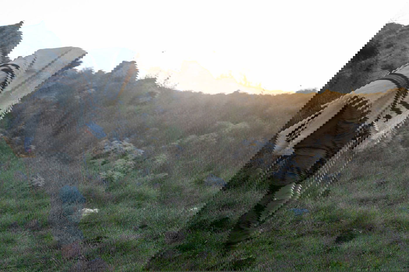 לוחמי חטיבת החשמונאים בפעילות מבצעית בדרום סוריה