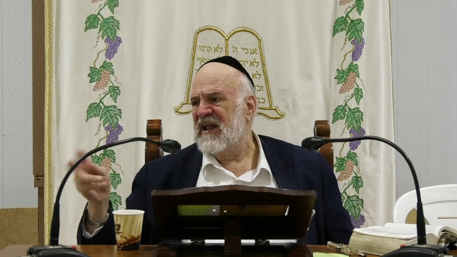 השיעור לפרשת ויחי