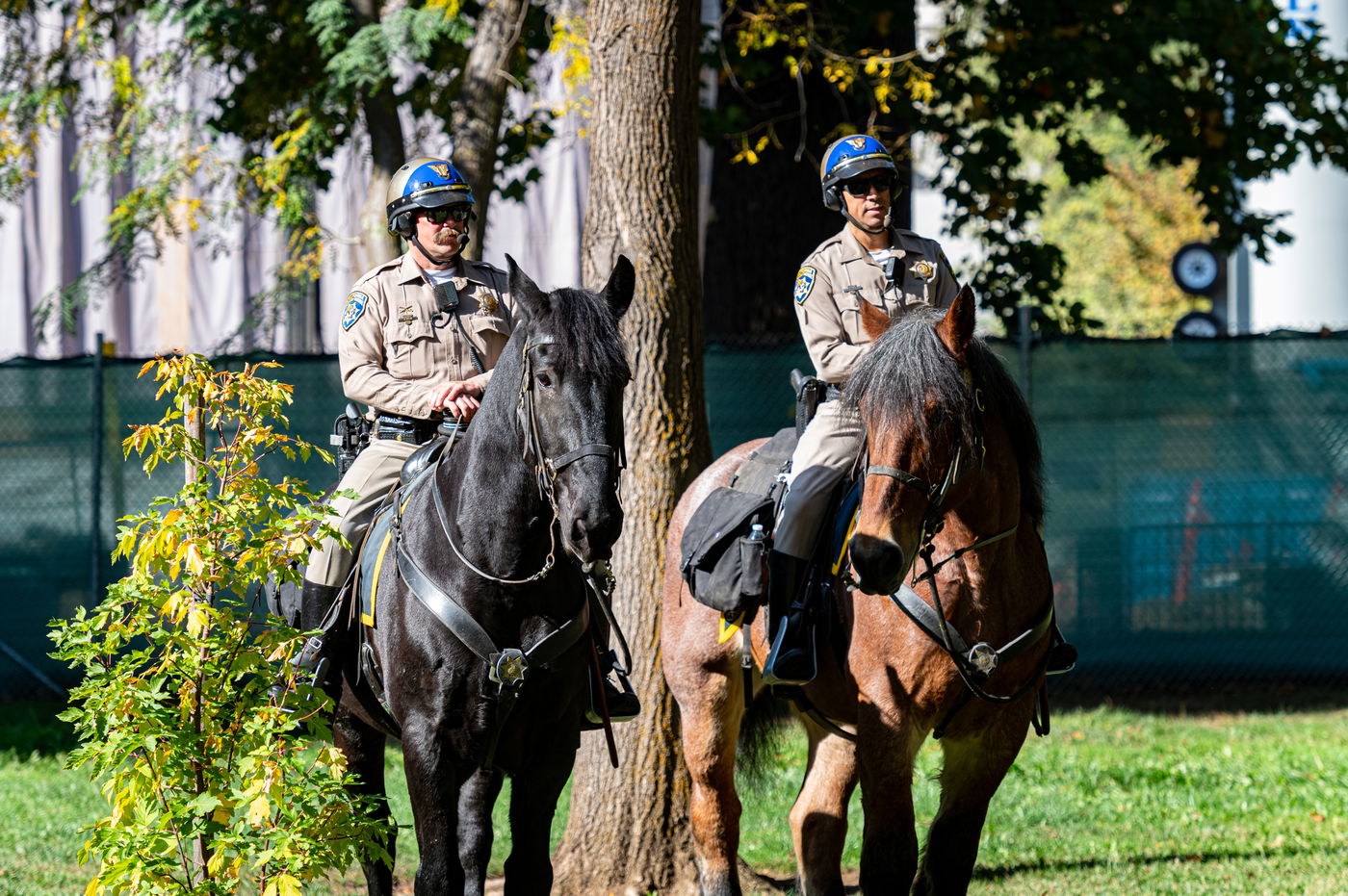 שוטרים אמריקאים, אילוסטרציה