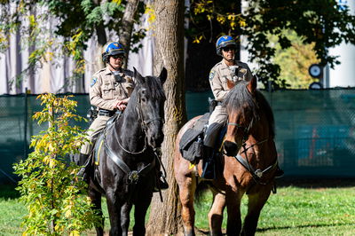 שוטרים אמריקאים, אילוסטרציה