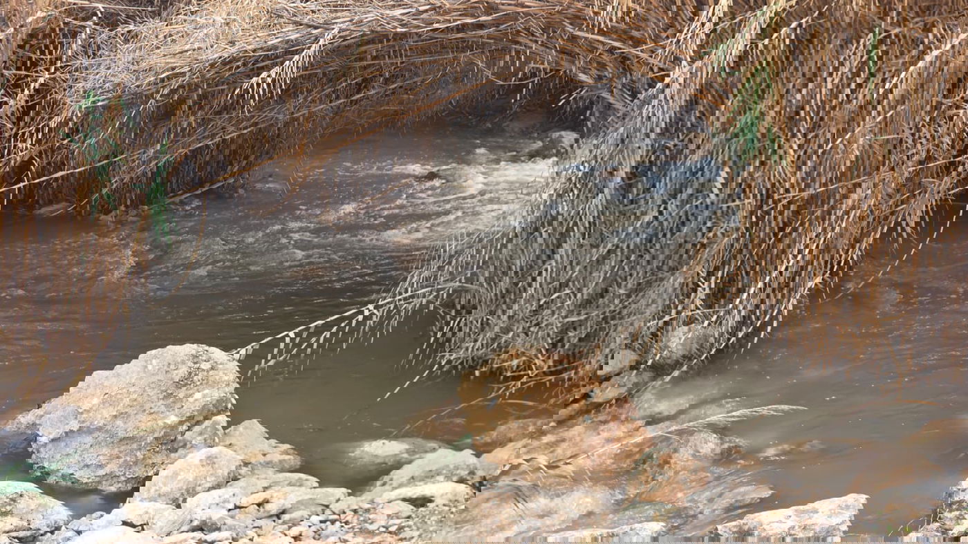 נחל ייטב מלא בחזרה בשבוע שעבר