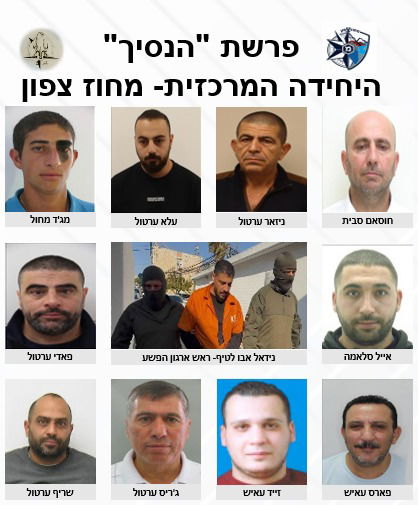  חברי החולייה