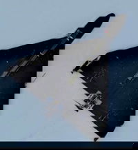 רוסיה מסלימה את איום הרחפנים: השאהד-136  האירני נצבע בשחור וצויד בטילי נ״מ