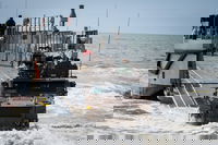 אימון כוחות הצבא הצרפתי