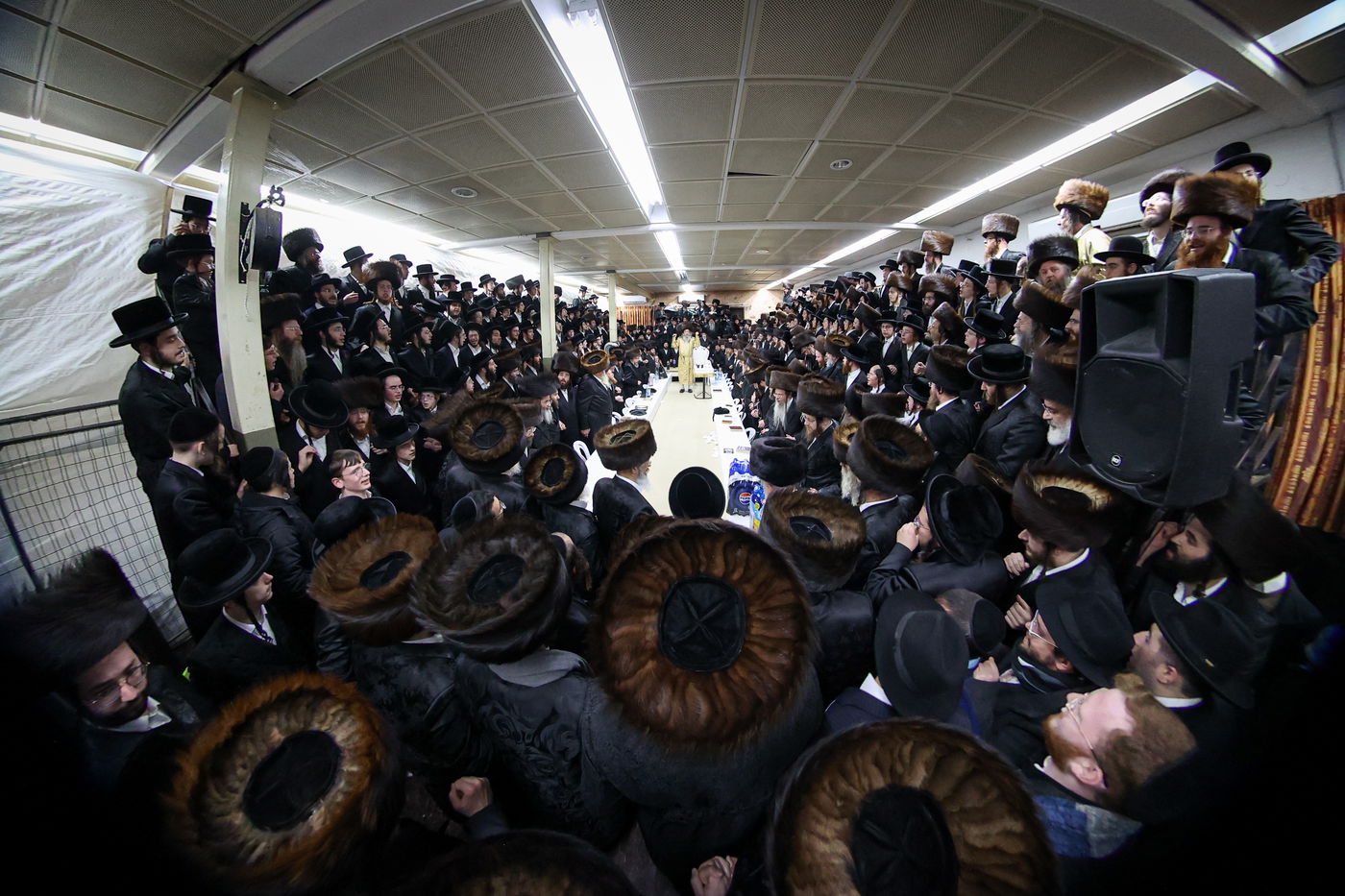 רבי אלימלך בידרמן במירון