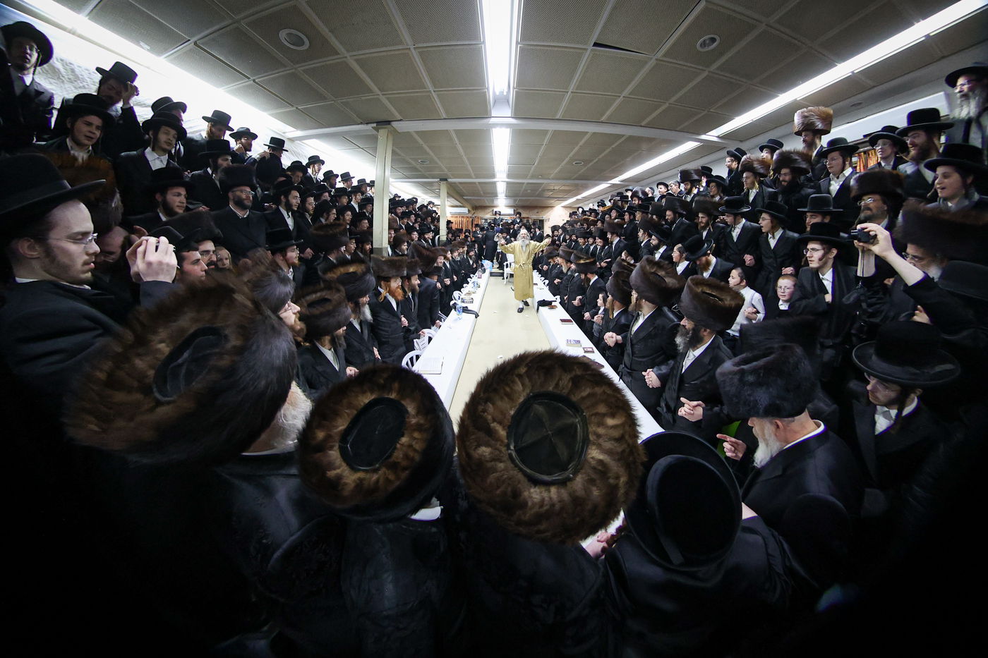 רבי אלימלך בידרמן במירון