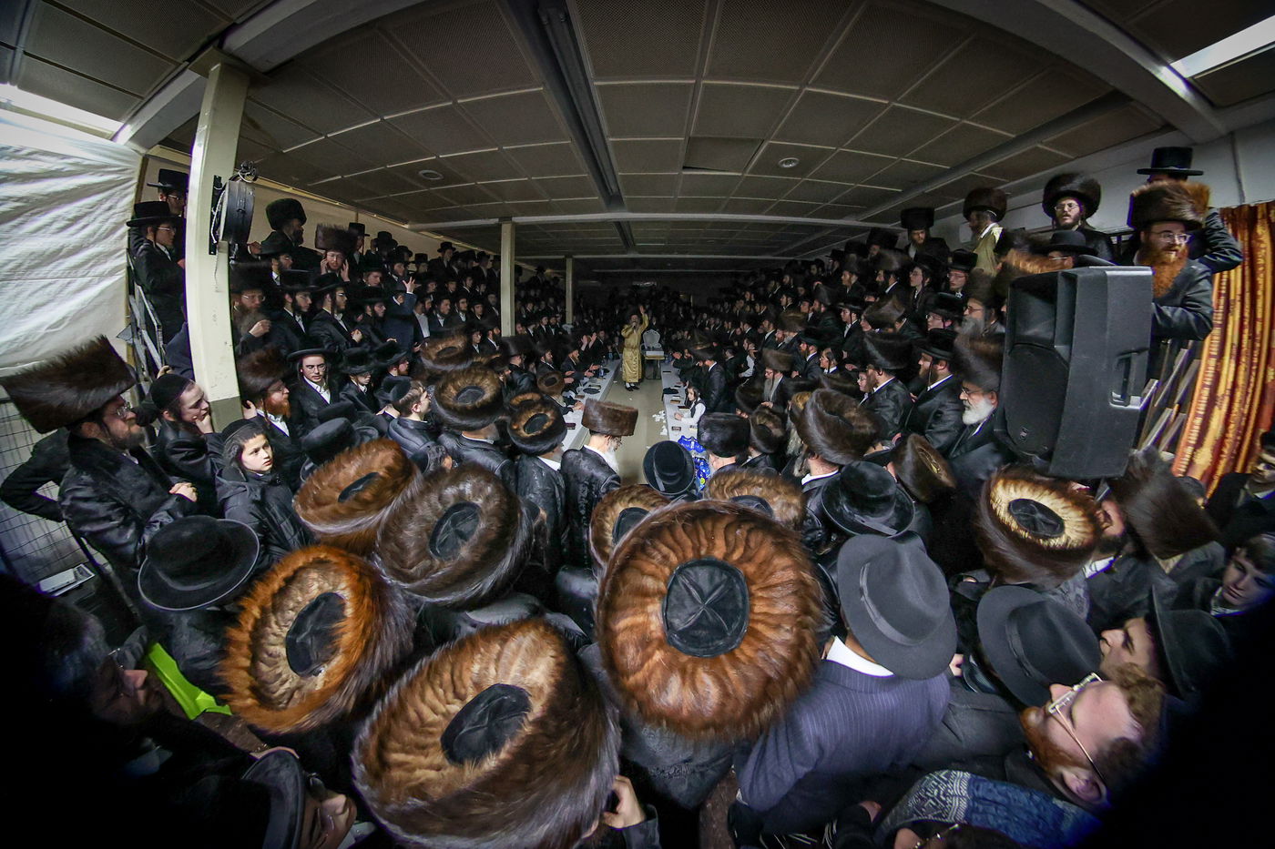 רבי אלימלך בידרמן במירון