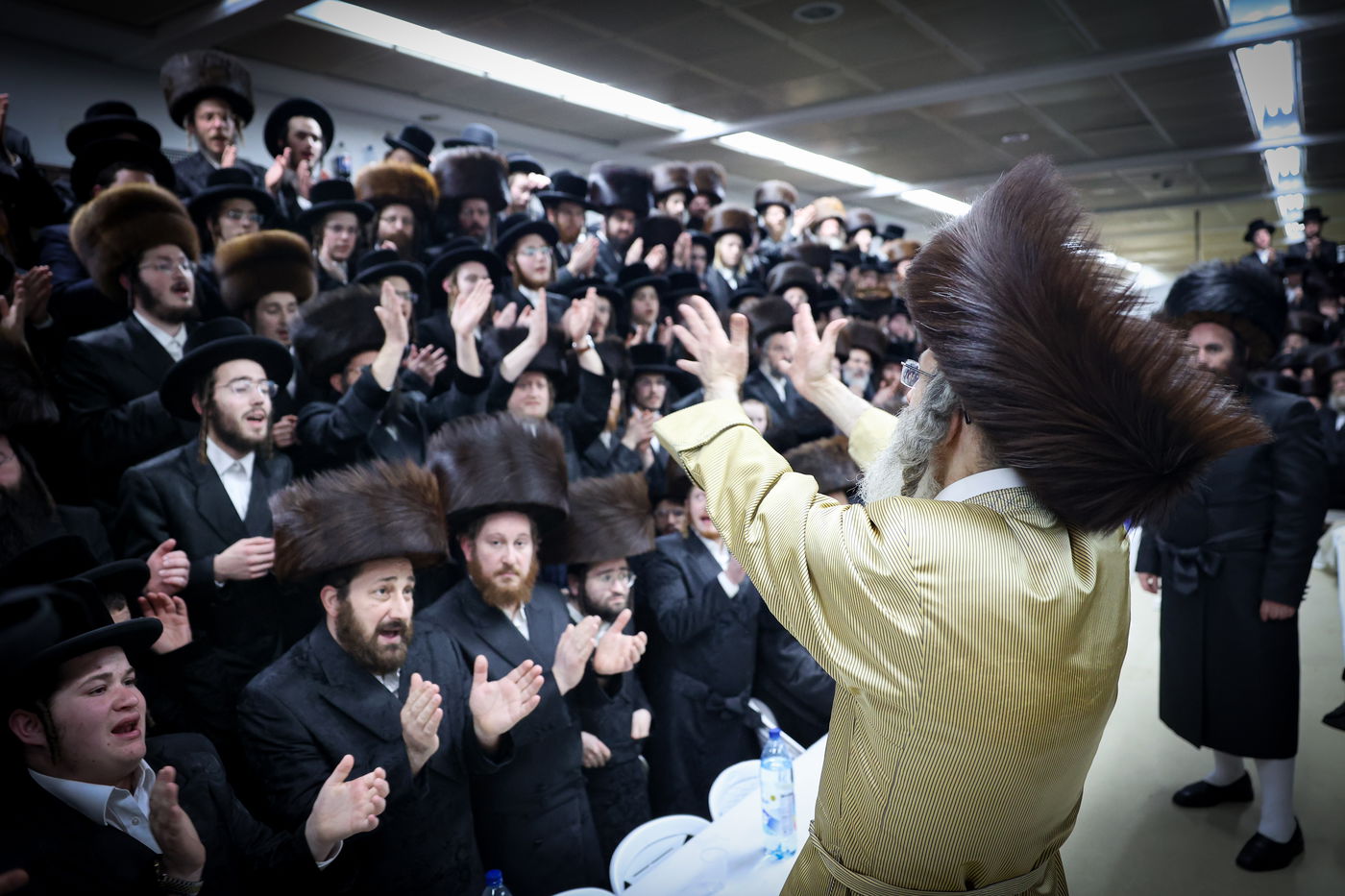 רבי אלימלך בידרמן במירון