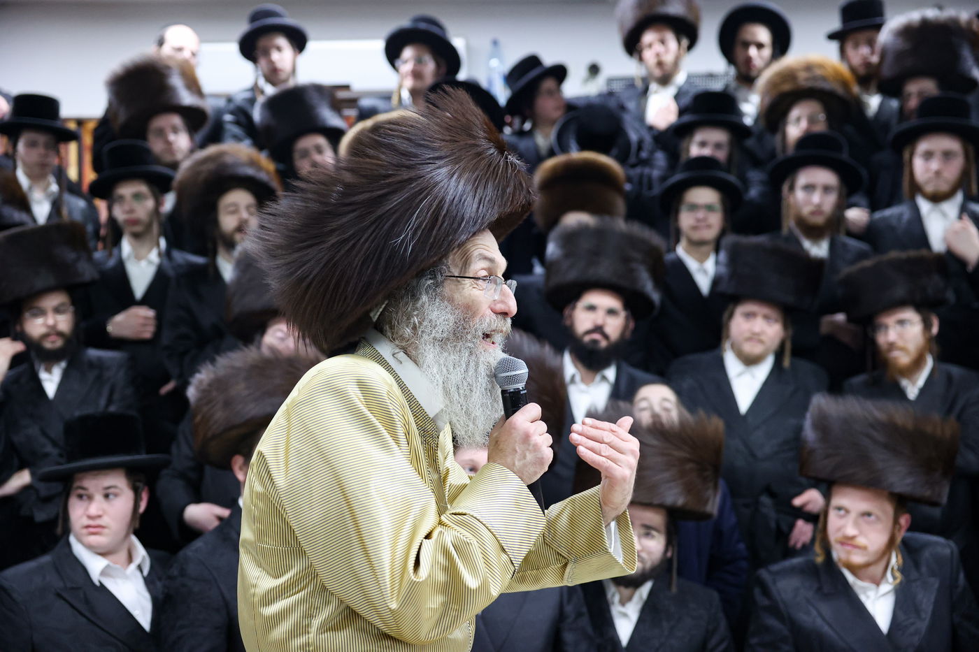 רבי אלימלך בידרמן במירון