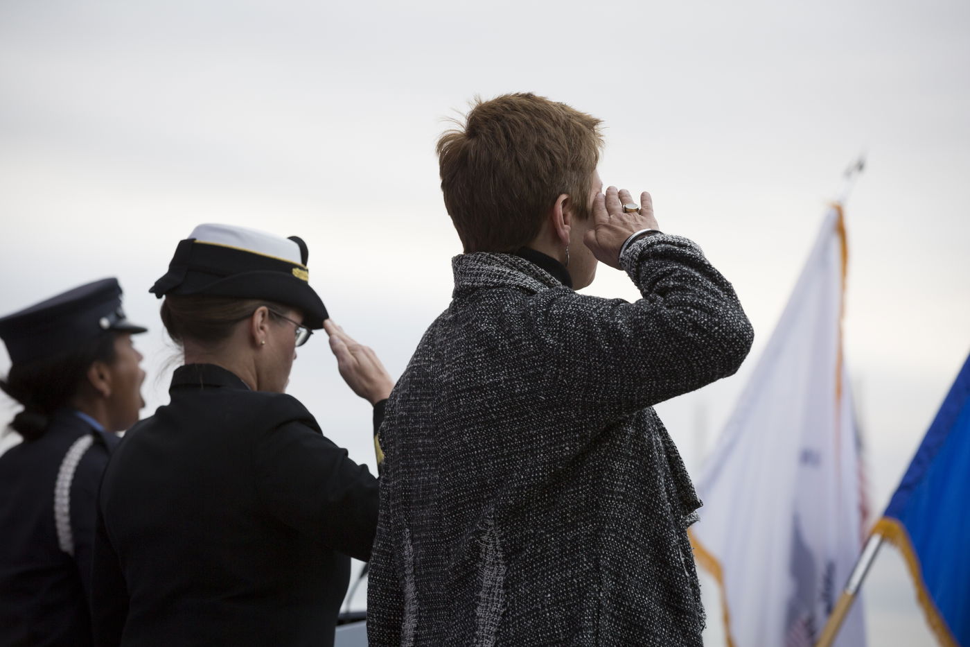 מלחיות אמריקניות, אילוסטרציה