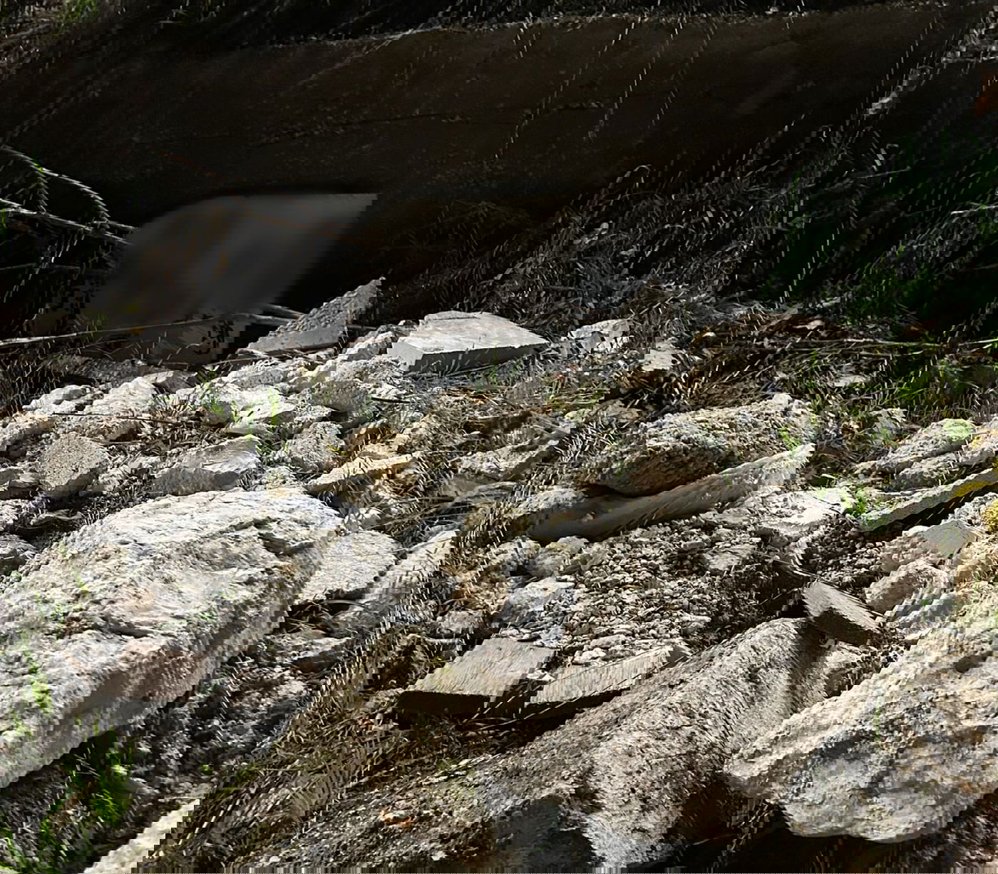 השחתת המצבות בבית הקברות המוסלמי