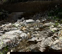 השחתת המצבות בבית הקברות המוסלמי