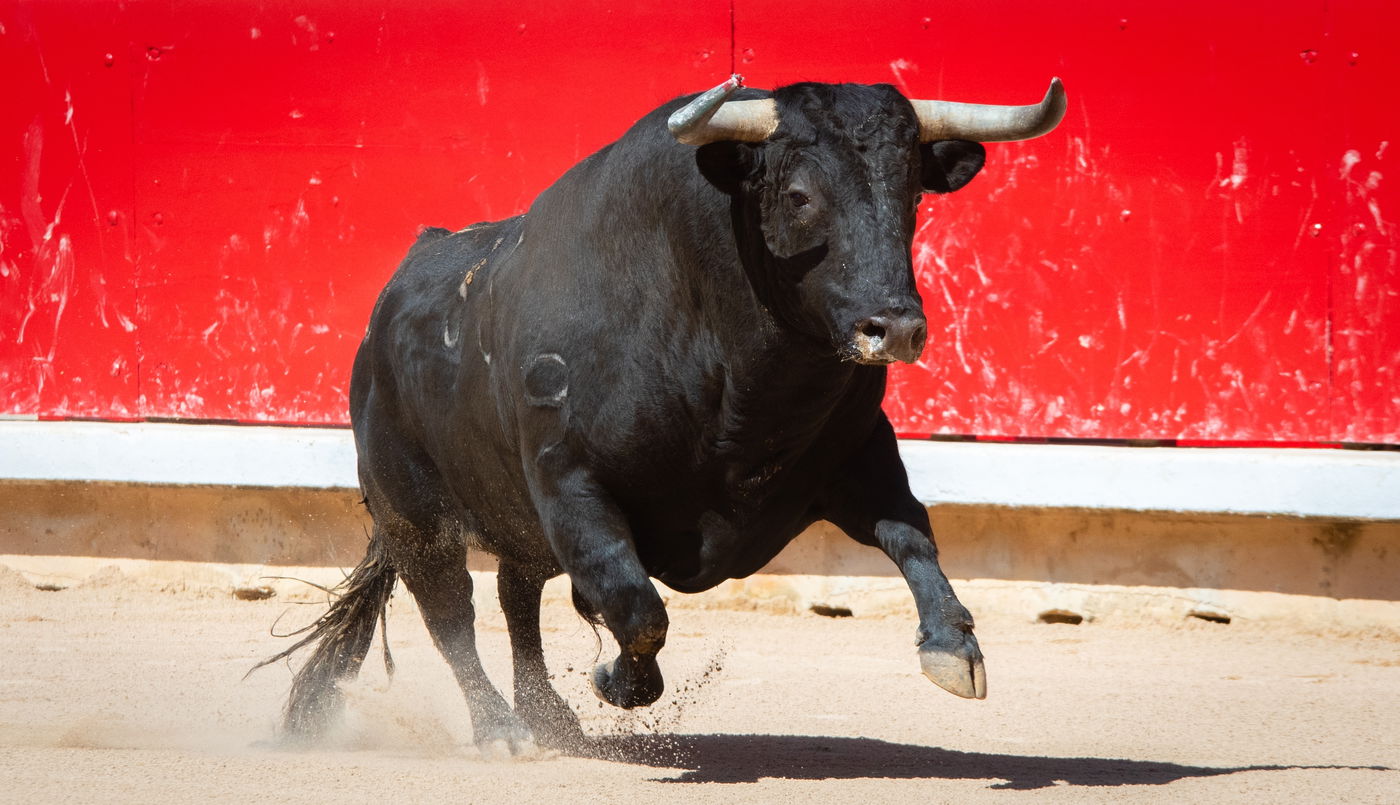אילוסטרציה