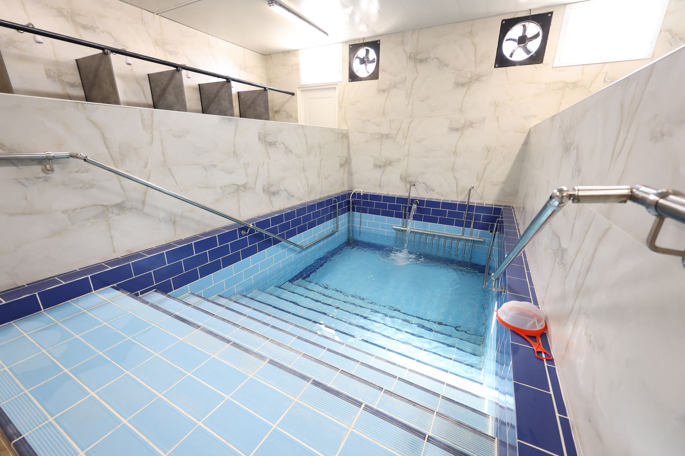 הגרח"צ טייטלבוים בקוממיות