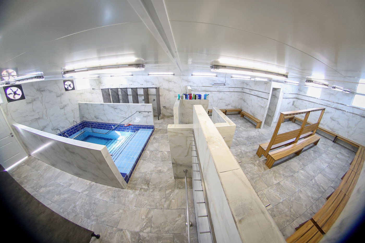 הגרח"צ טייטלבוים בקוממיות