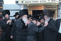 שמחת בית מודז'יץ - מירון - שפירא