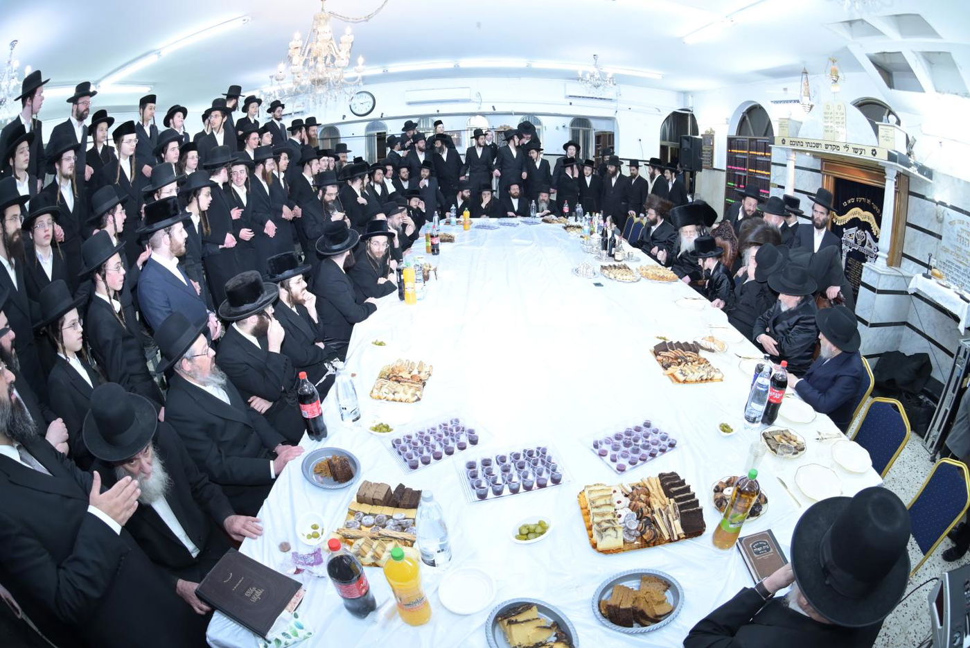 שמחת בית מודז'יץ - מירון - שפירא