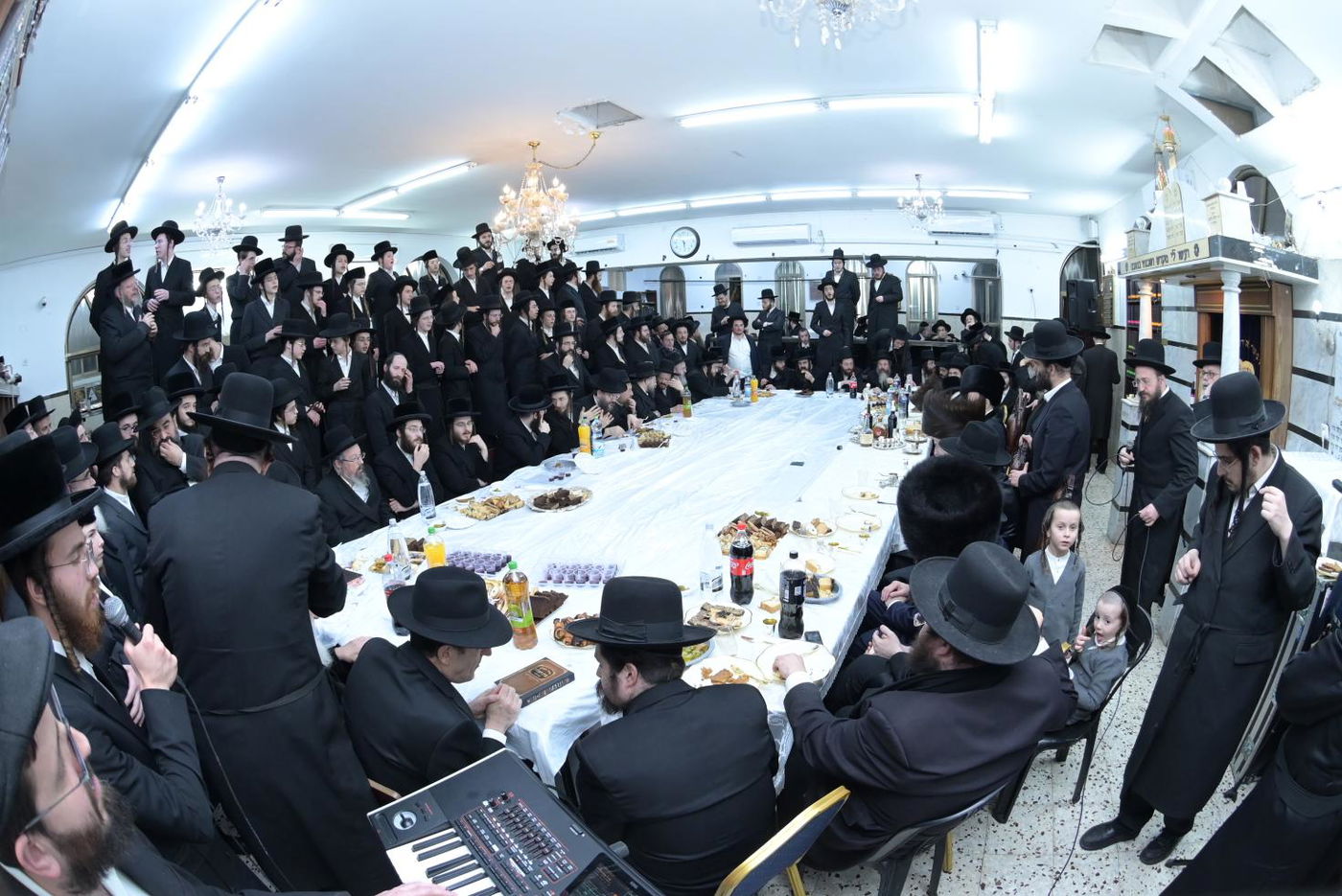 שמחת בית מודז'יץ - מירון - שפירא