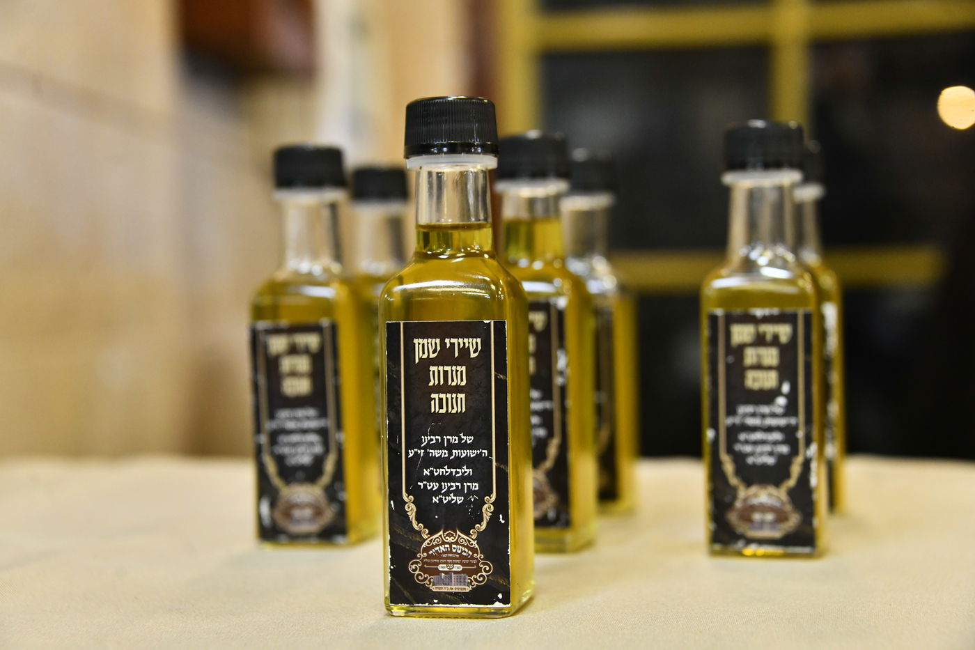 כינוסי בוגרי ישיבת ויז'ניץ בברכפלד