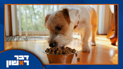 האישה תמיד צודקת והאברך ניצל מהשקעה במכרות הזהב | כך מנצלים את החוק להתעלל בעסקים