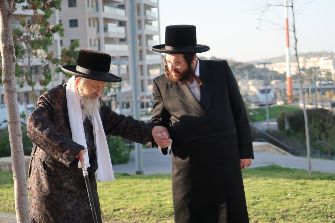 האדמורי"ם מקאליש ונדבורנה צפת, בנאות דשא