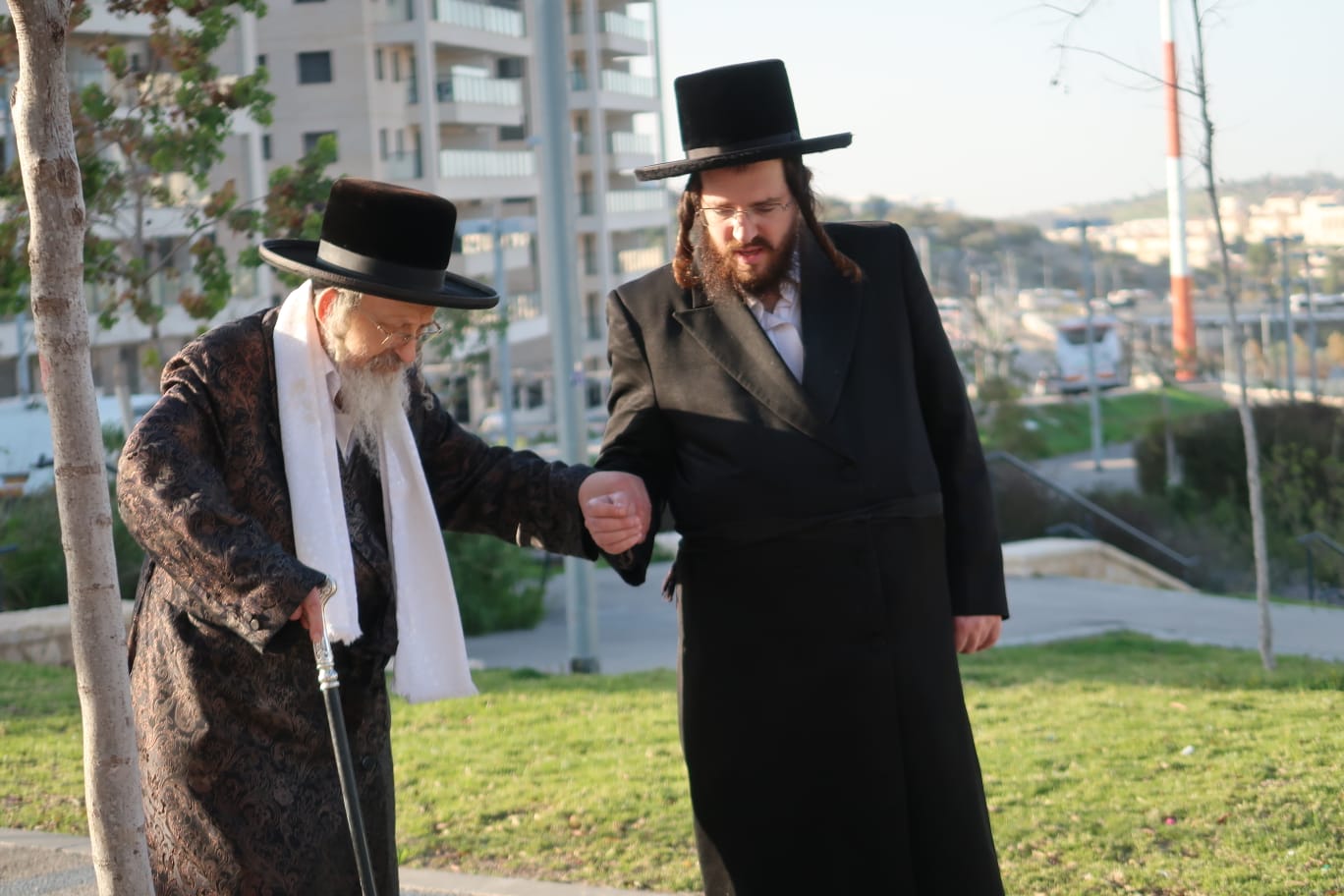 האדמורי"ם מקאליש ונדבורנה צפת, בנאות דשא