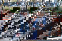 האדמורי"ם מקאליש ונדבורנה צפת, בנאות דשא