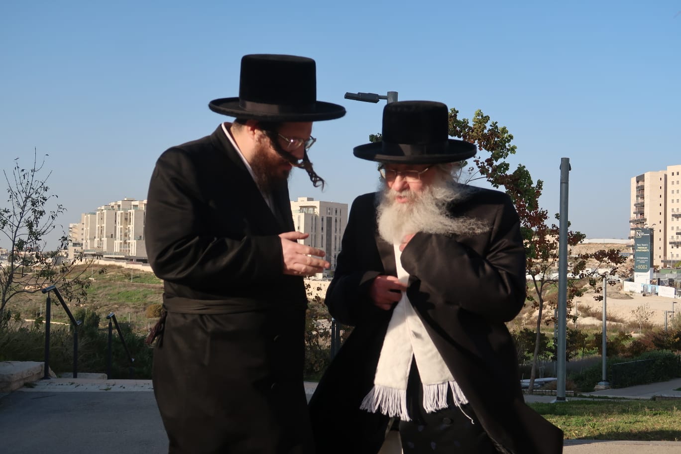 האדמורי"ם מקאליש ונדבורנה צפת, בנאות דשא