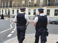 שוטרים בריטים 