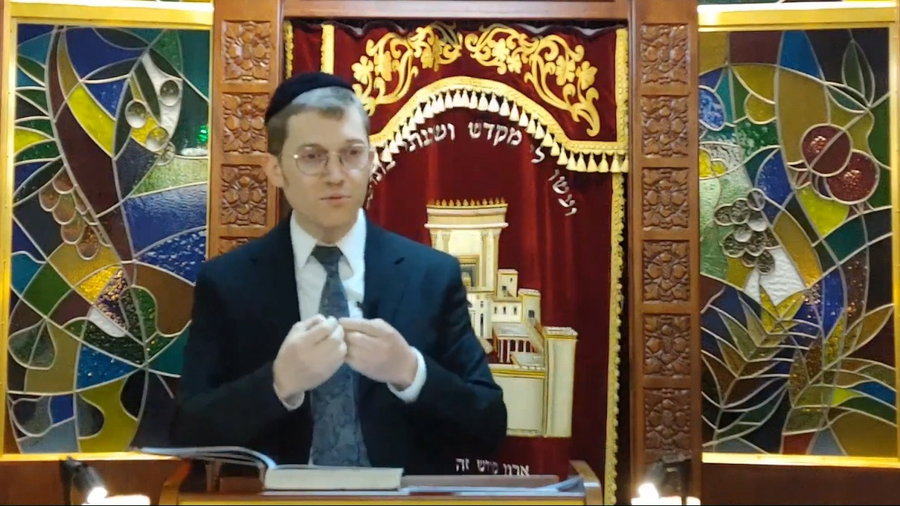 השיער לפרשת שמות