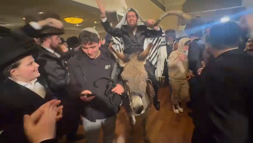 החמור והשופר