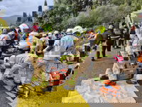 תאונת דרכים קטלנית בדרך למירון: נהג רכב נהרג בהתנגשות עם אוטובוס