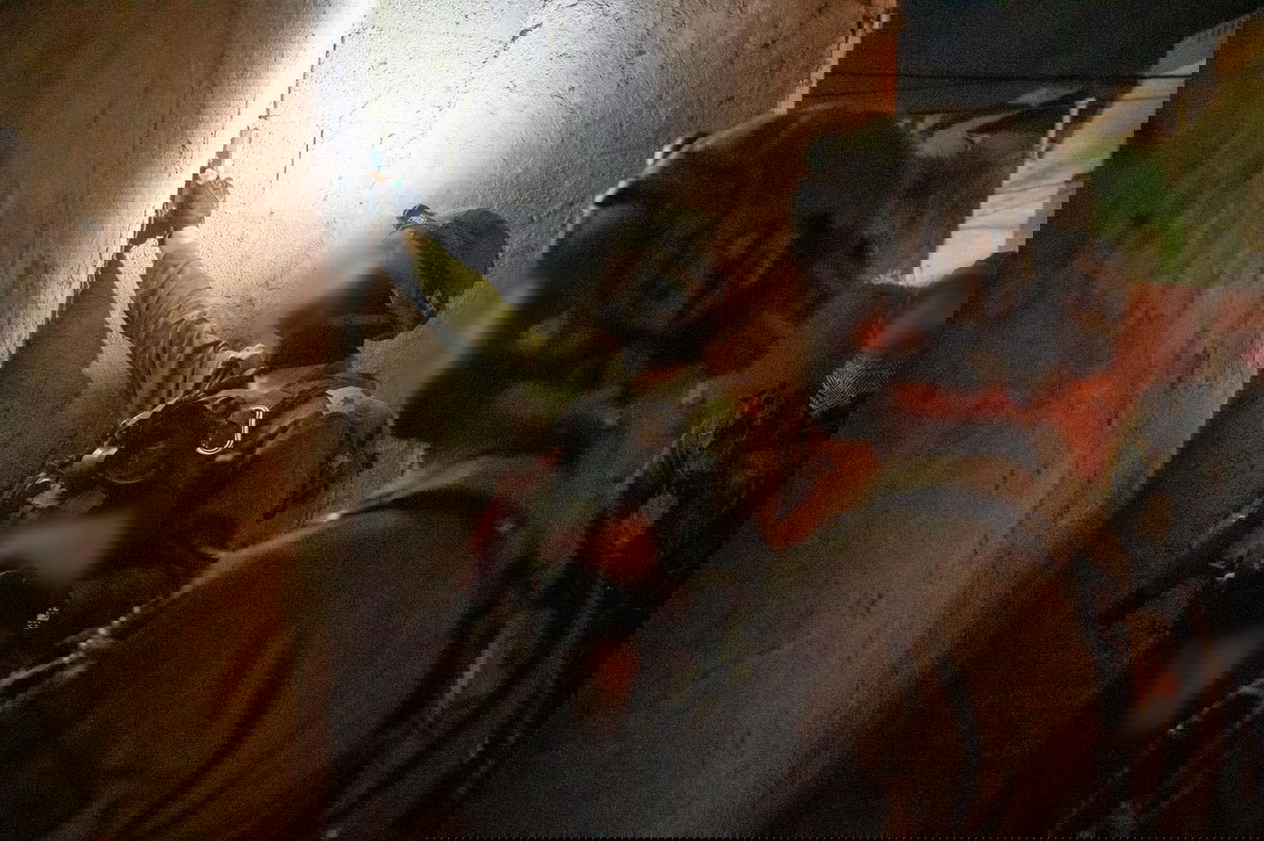 צה"ל סיכל ביו"ש חולייה שתכננה לבצע פיגוע מיידי; נעצרו 57 מבוקשים