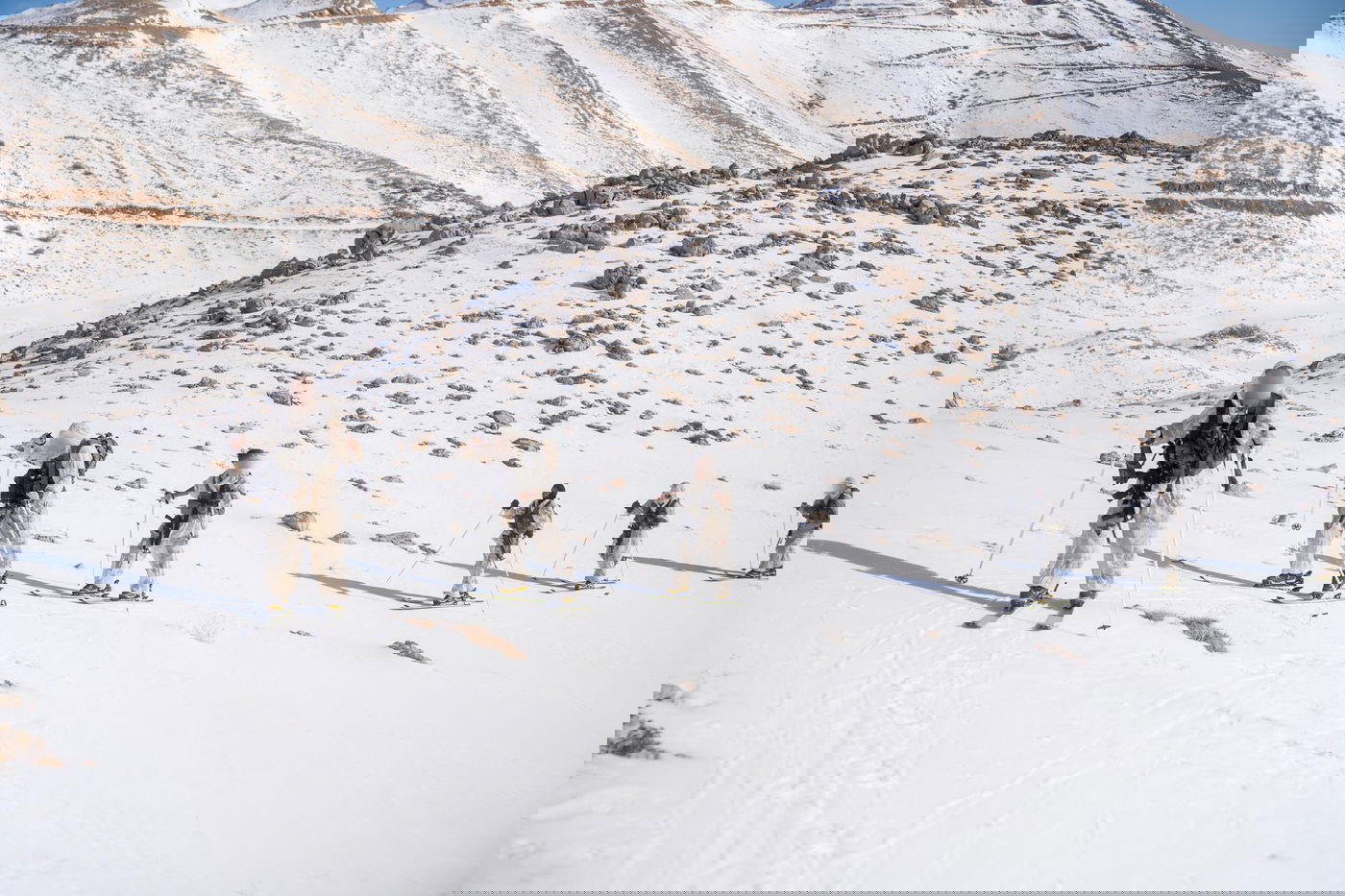 בשלג הכבד: כוחות 'האלפינסטים' השלימו את היערכותם המבצעית בכתר החרמון