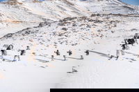 בשלג הכבד: כוחות 'האלפינסטים' השלימו את היערכותם המבצעית בכתר החרמון