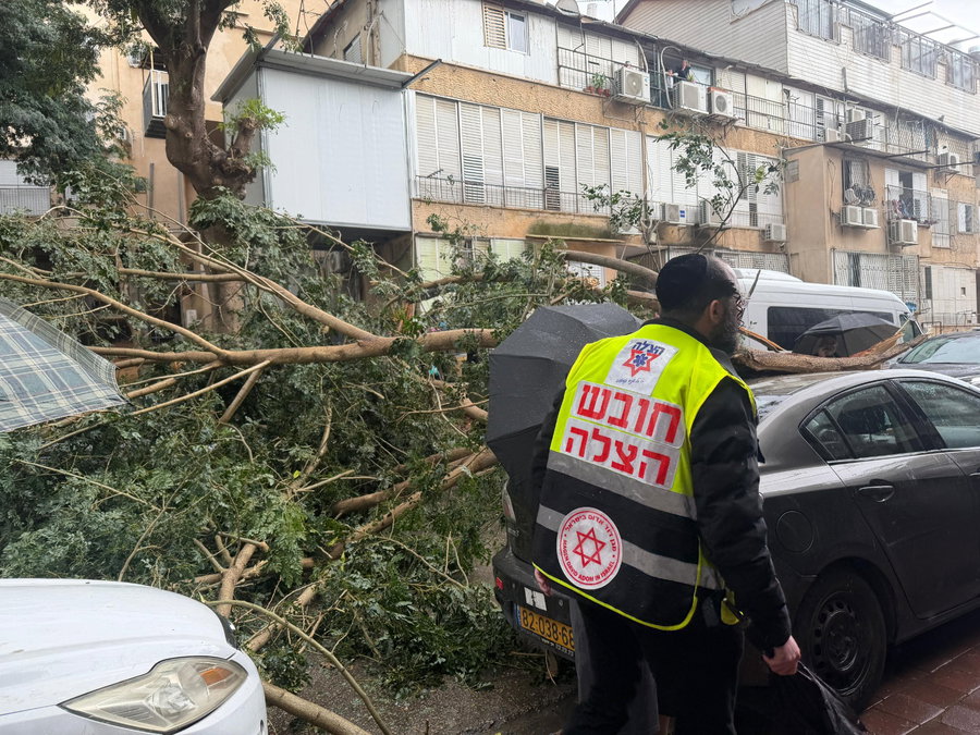 הסערה בעיצומה: רוחות של 104 קמ״ש, פצוע בינוני מקריסת עץ באשקלון | עץ קרס בעיר בני ברק