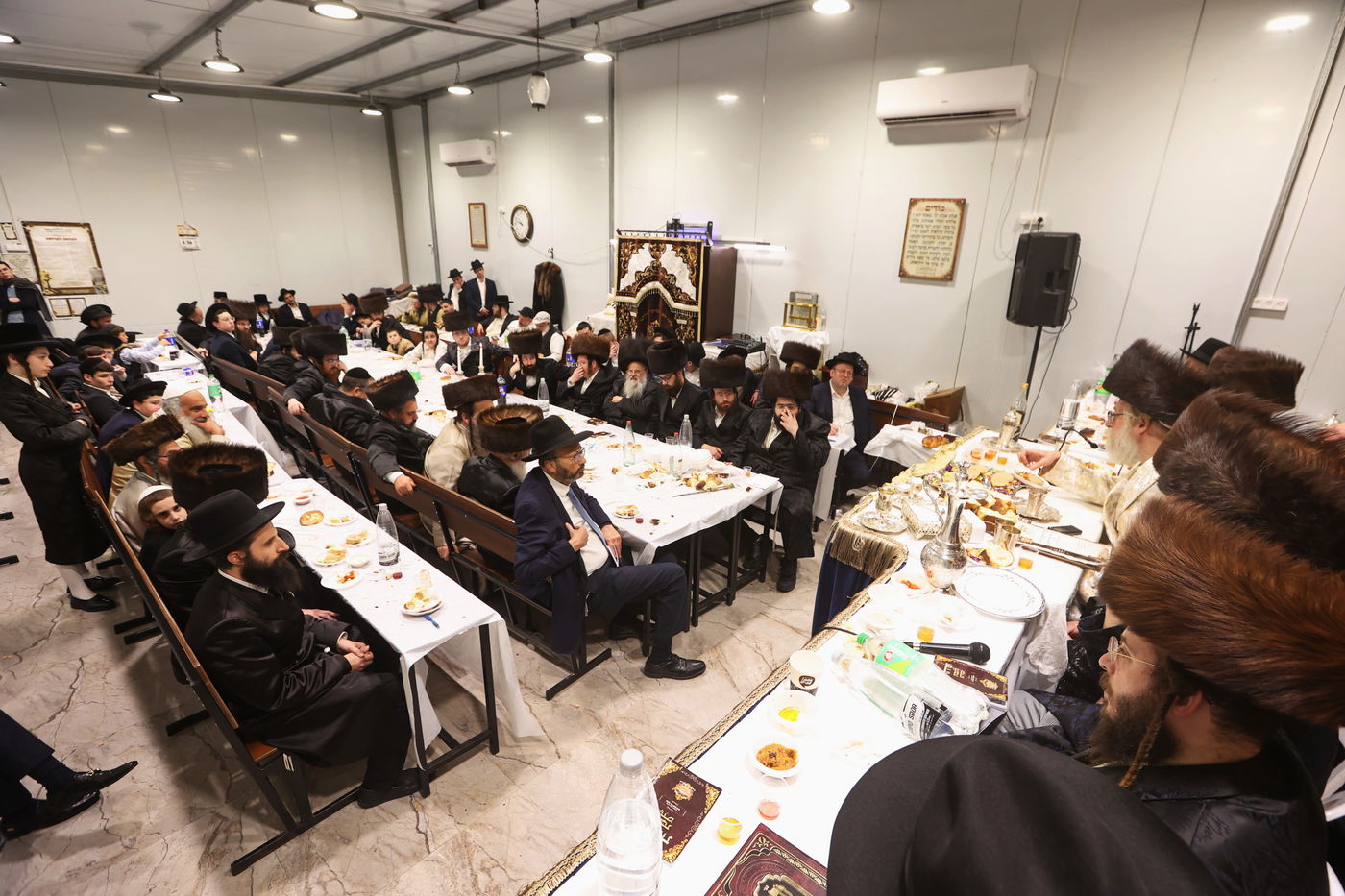 הילולא קדישא בשאץ דרהביטש