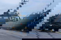 משוריינים פינים