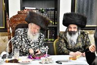 הילולא קדישא בשאץ