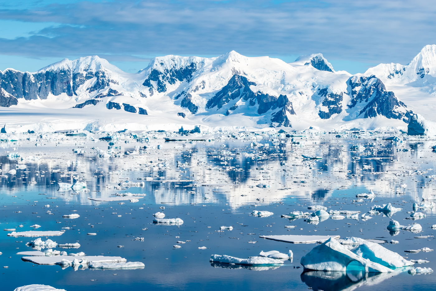 אילוסטרציה