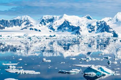 אילוסטרציה