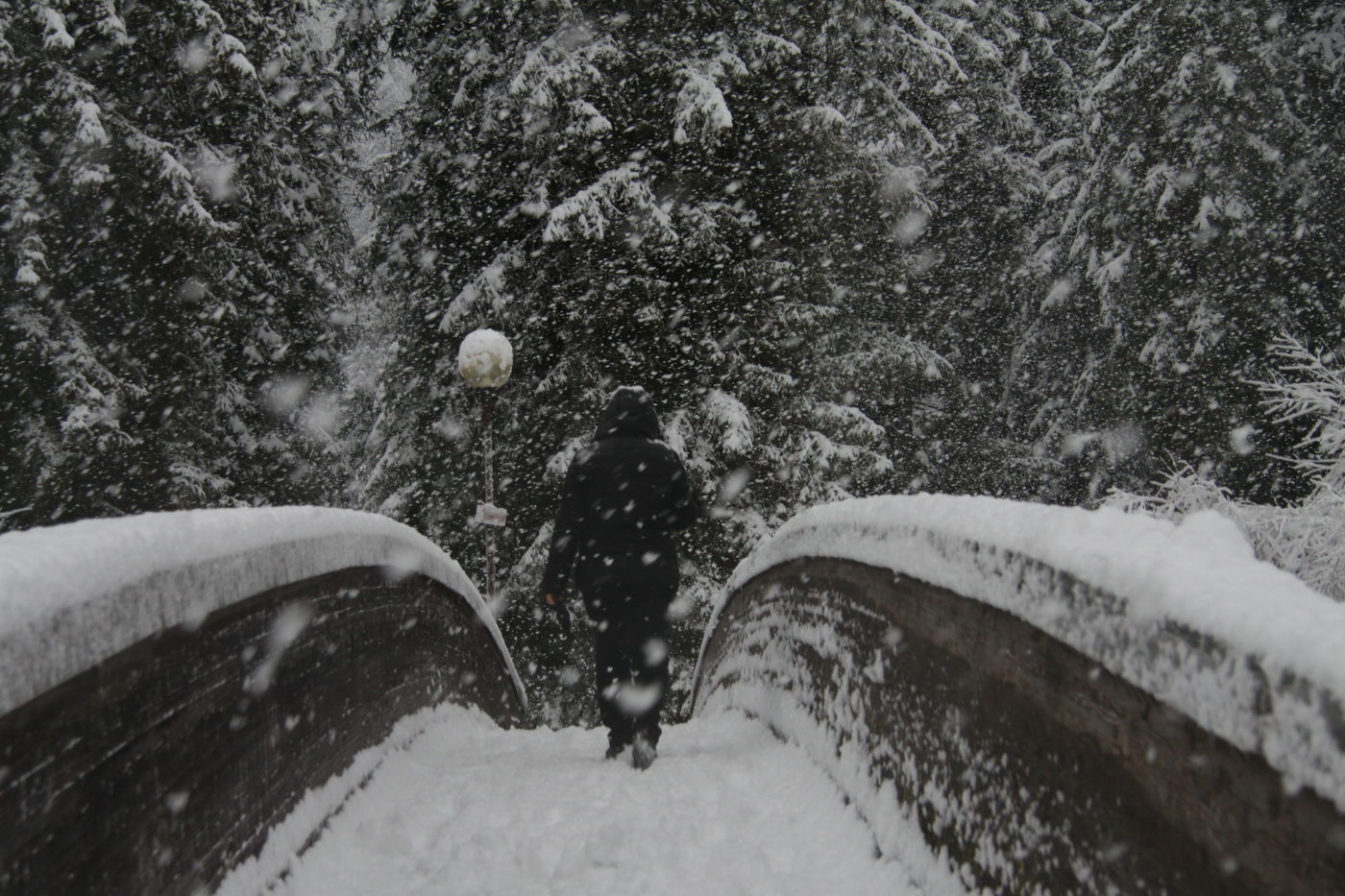 אילוסטרציה
