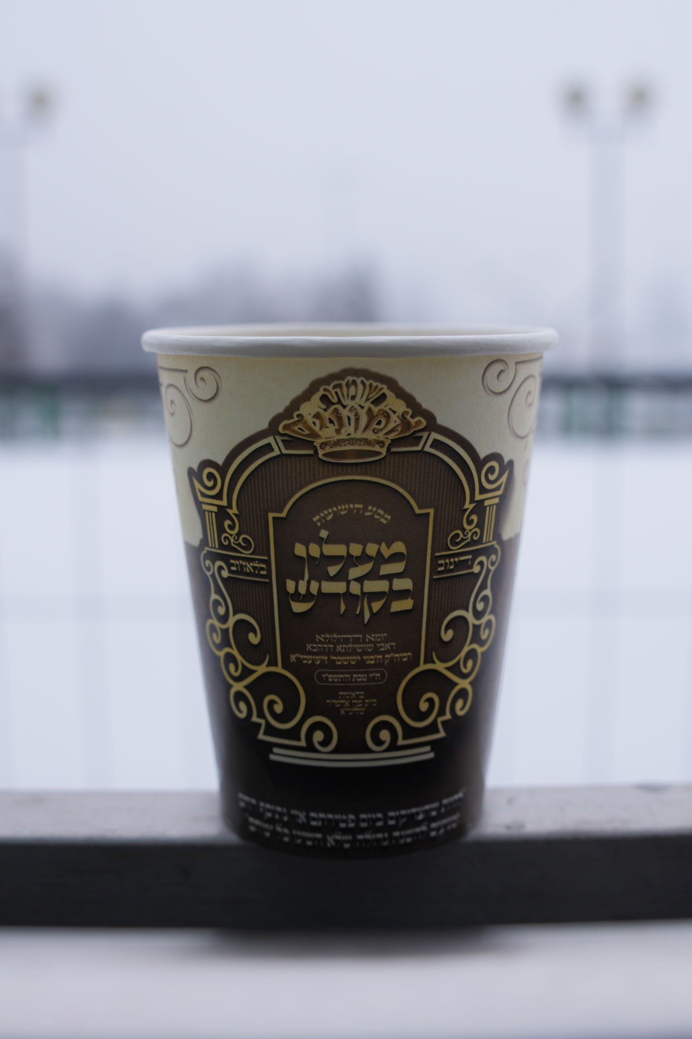 האדמו"ר משומרי אמונים במסע הקודש לפולין