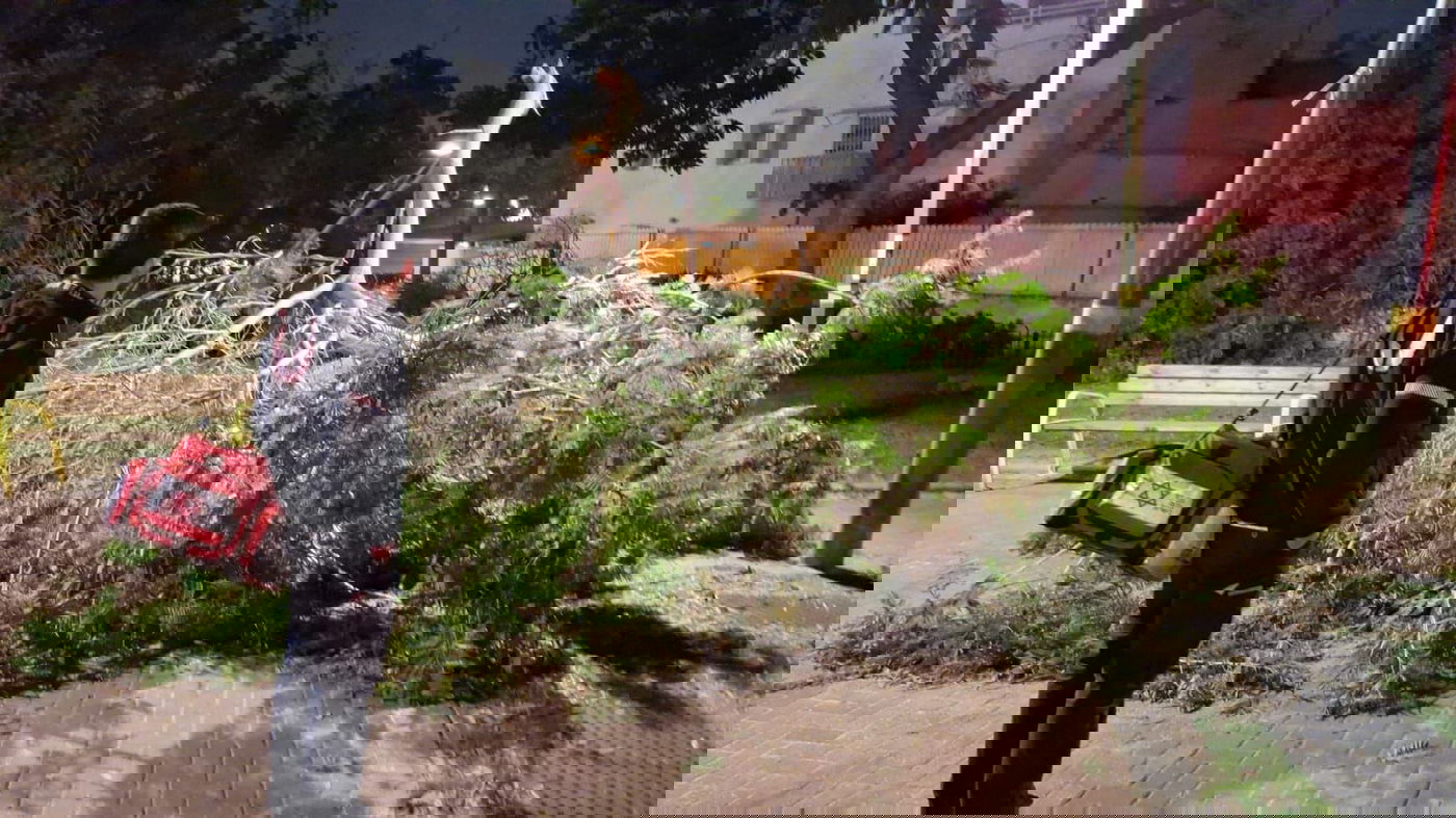 מתיעוד הנפילה