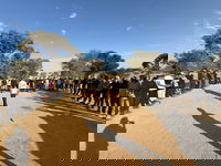 שבוע הגיבוש של נצח יהודה