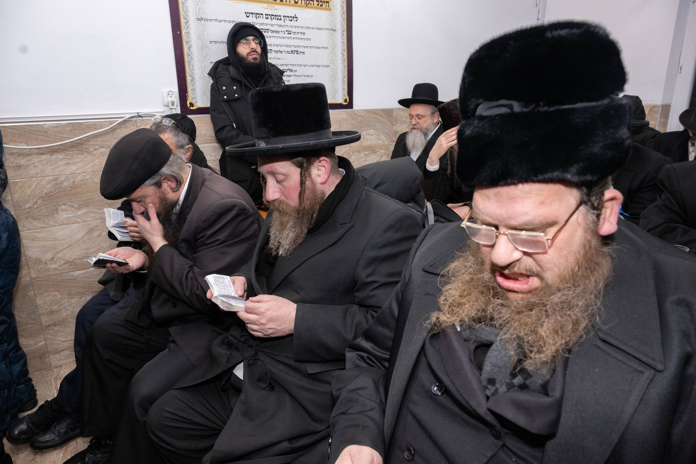 הילולת ה'בני יששכר' בדינוב