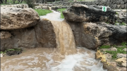 כל הנחלים זורמים | תיעודים מרהיבים מהזרימות החזקות בהרי יהודה • צפו