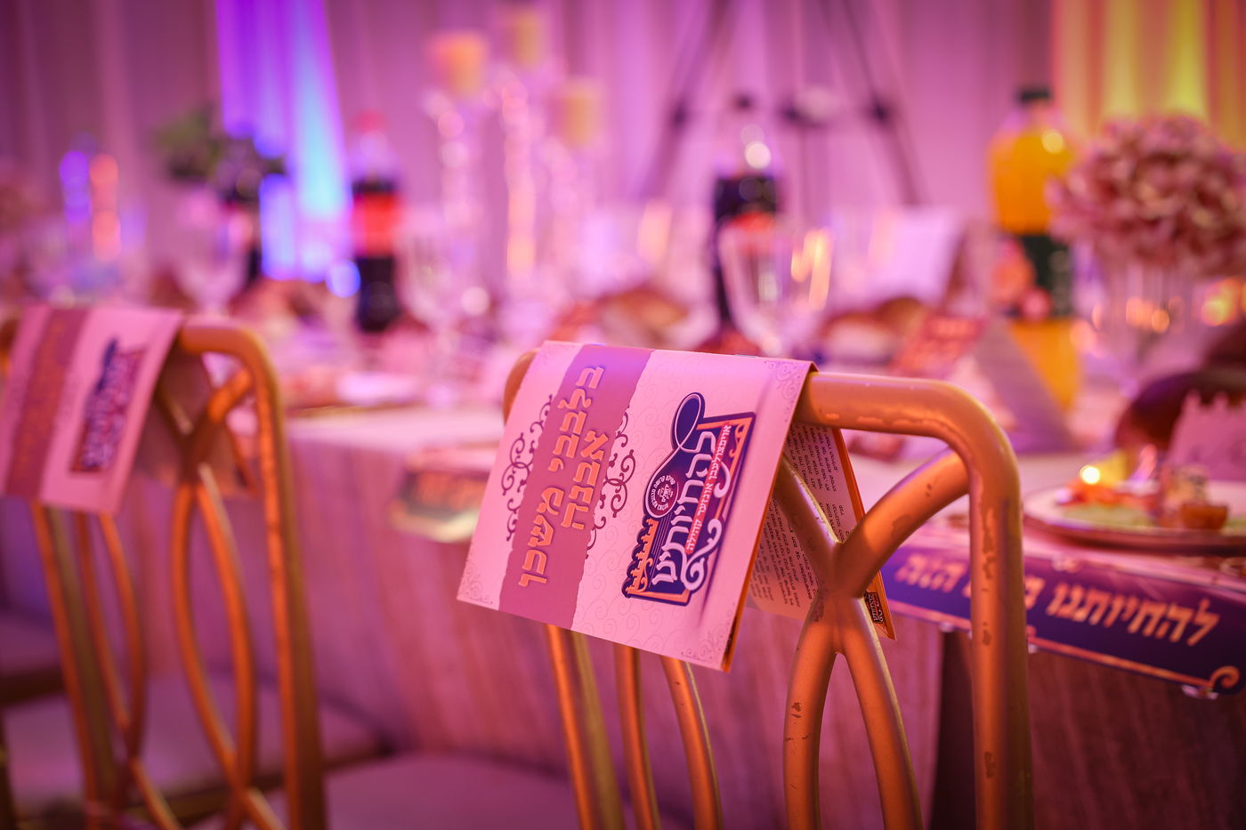 דינר להחיותינו במכנובקא בעלזא